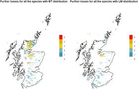Attēlu rezultāti vaicājumam “Cephalozia loitlesbergeri”