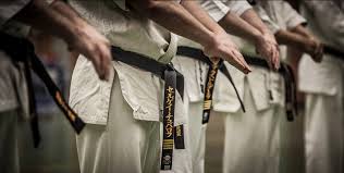 Image result for Kyokushin Karate