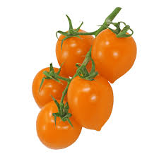 Afbeeldingsresultaat voor oranje van goeienbier tomato