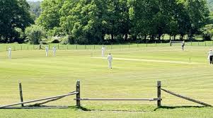Image result for Battle Cricket Club