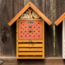 Image result for ladybug house