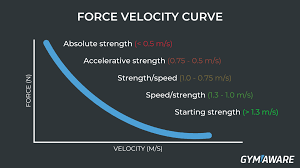 Image result for Velocity