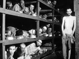 Image result for Derkawi Holocaust