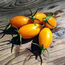 Afbeeldingsresultaat voor blushing yellow tomato