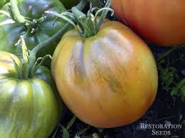 Afbeeldingsresultaat voor CDB tomato