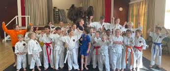 Image result for Uechi-Ryu Karate Do, Hedge End