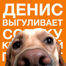 Картинки по запросу ты какашка