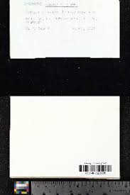 Attēlu rezultāti vaicājumam “Seligeria pusilla”