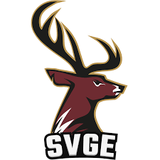 Image result for Southampton Stags