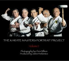 Image result for Seiki Juku Karate Organisation