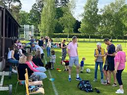 Image result for Chew Magna Cricket Club