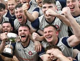Image result for Causeway Hurling Club