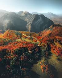 Image result for $$fall_akte__ort$$