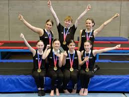 Image result for North East London Gymnastics Club