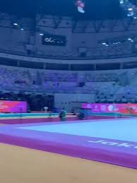 Image result for Aylesbury School Of Gymnastics