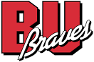 American Collegiate Hockey Association powered by GOALLINE.