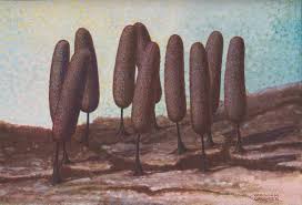 Attēlu rezultāti vaicājumam “Comatricha pulchella spores”