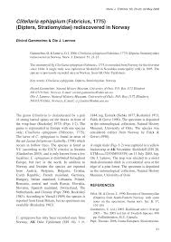 Attēlu rezultāti vaicājumam “Clitellaria ephippium”