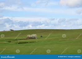 Image result for Flamborough Head Golf Club