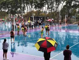 Image result for Sutton United Netball Club