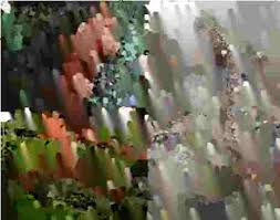 Attēlu rezultāti vaicājumam “Lycogala confusum young”