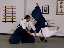 Image result for Fudokai Aikido Dojo