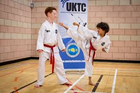 Image result for Parkgate Taekwondo Club