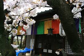 「宝町雨彦」の画像検索結果