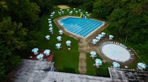 Image result for Leek Swimming Club
