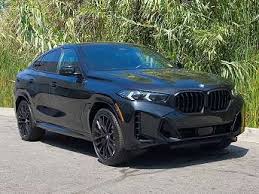 Image result for BMW X6