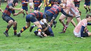 Image result for Wath Upon Dearne Rugby Union Football Club