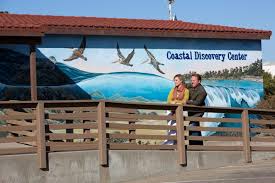 Image result for Cambrian Centre for Activity