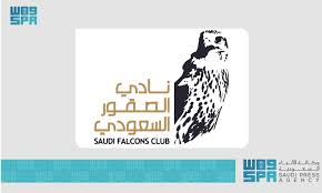 Image result for Falcon Sa Club