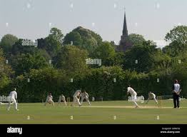 Image result for Wimbledon Cricket Club