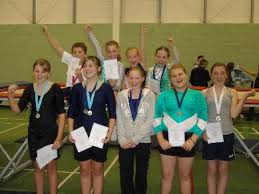 Image result for Selsdon Netball Club