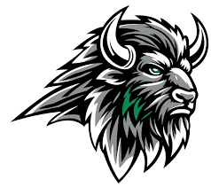 Image result for Basingstoke Buffalo