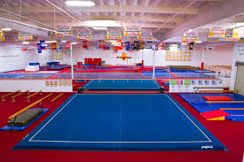 Image result for Wyre Forest School Of Gymnastics