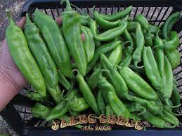 Afbeeldingsresultaat voor numex sandia hot pepper