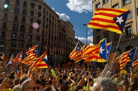 Image result for catalans universals