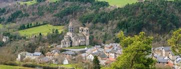 Image result for saint nectaire