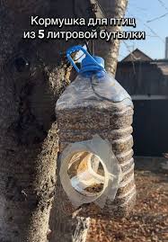 Image result for Баклажки