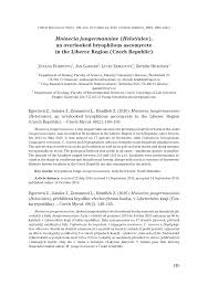 Attēlu rezultāti vaicājumam “Mniaecia jungermanniae”