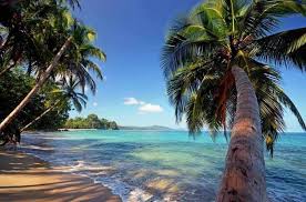 Image result for cahuita costa rica