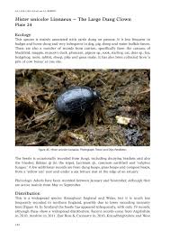 Attēlu rezultāti vaicājumam “Histeridae”