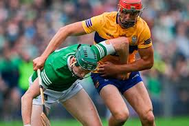 Image result for Clarehurlers