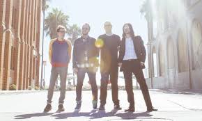 Image result for Weezadivers