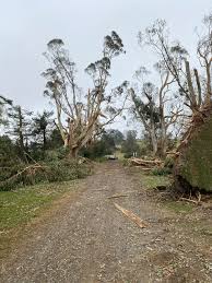 Image result for Woodmancote SMBC