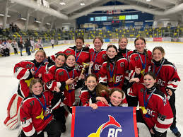 Image result for Langley Rockets Badminton Club