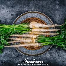 Image result for Pastinaca sativa