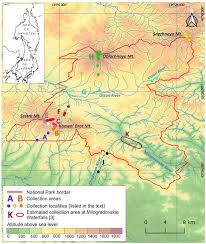 Attēlu rezultāti vaicājumam “Harpanthus flotovianus cells”